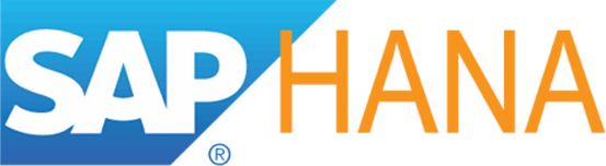SAP R/3 HANA